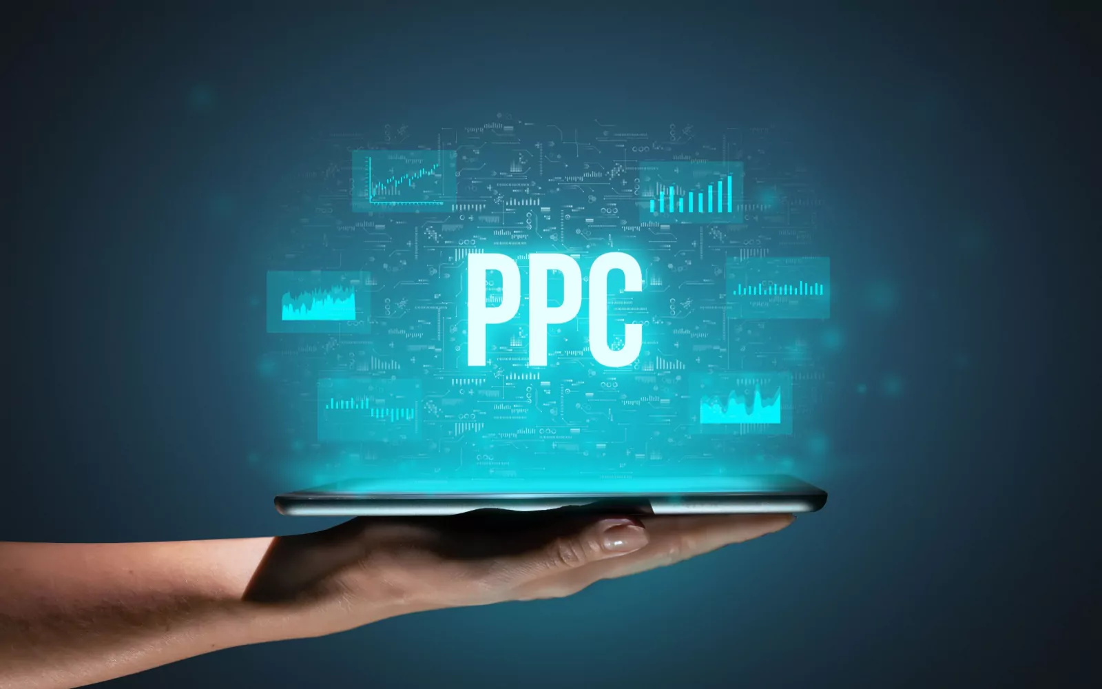 PPC Strategy